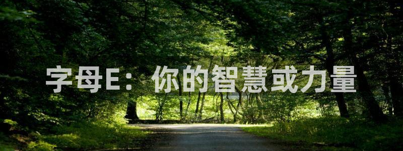 xc体育