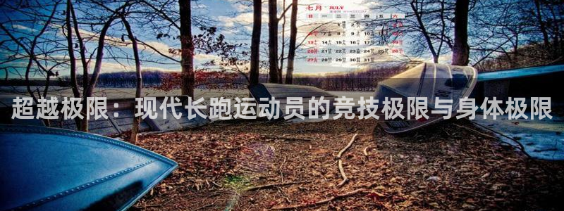 xc体育app官方网站