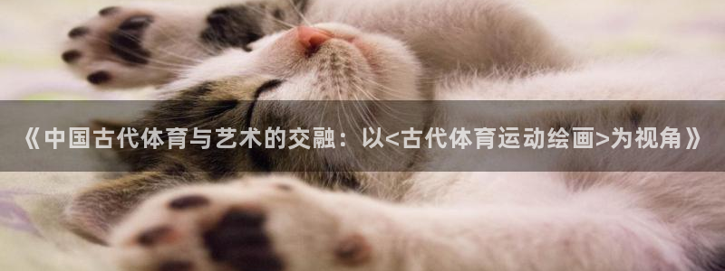xc体育app官方网站