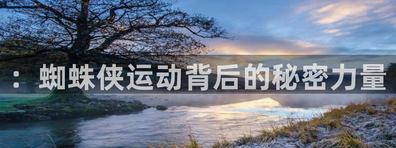 xc体育