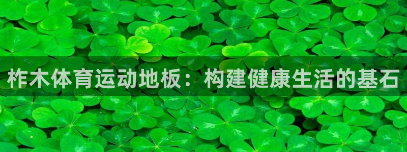 xc体育app官方网站