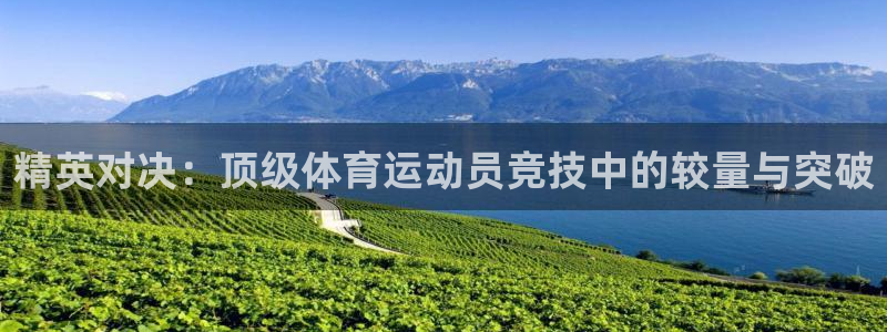 xc体育app官方网站