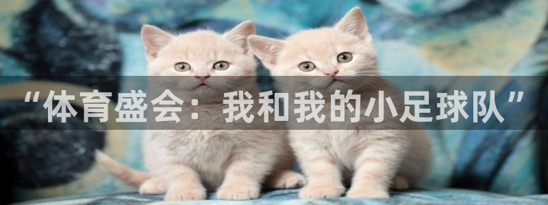 xc体育app官方网站