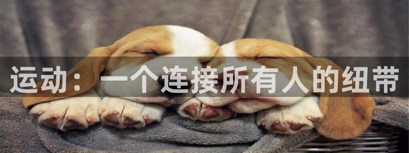 xc体育