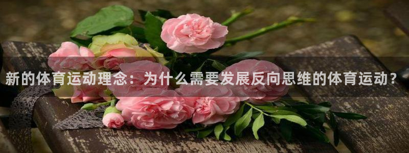 xc体育