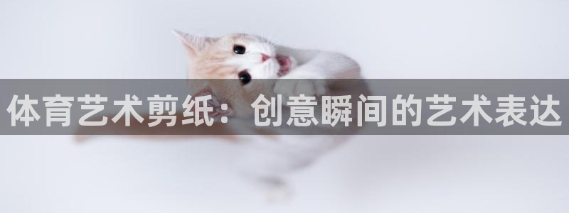 xc体育